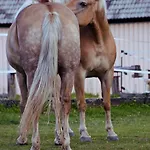 Knaller Der Reiterbauernhof Apartman *