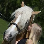 Knaller Der Reiterbauernhof *