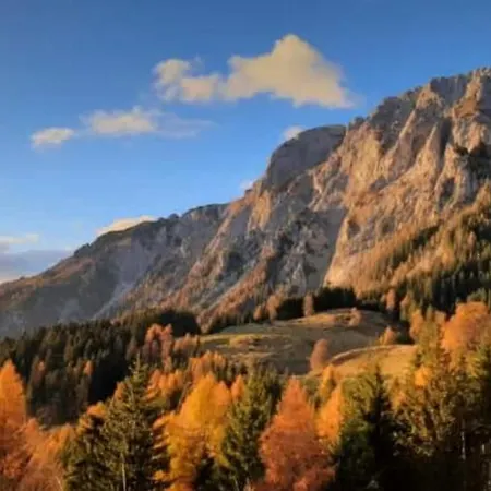 Knaller Der Reiterbauernhof * Reisach