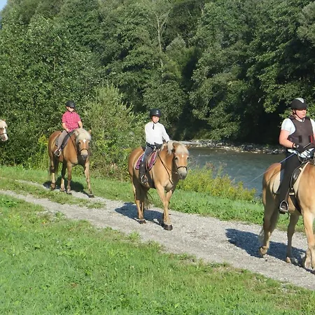 Knaller Der Reiterbauernhof * Reisach