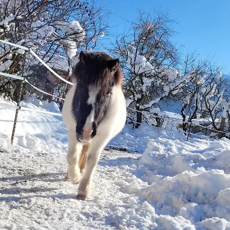 Knaller Der Reiterbauernhof Reisach