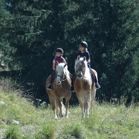 Knaller Der Reiterbauernhof * Reisach