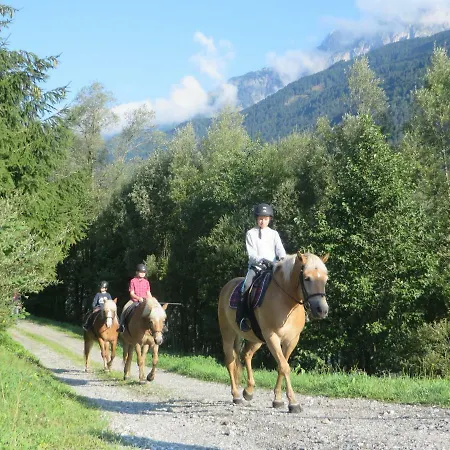 Apartamento Knaller Der Reiterbauernhof Reisach
