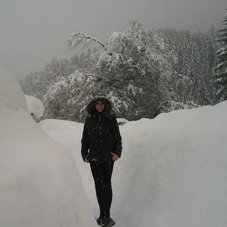 Διαμέρισμα Knaller Der Reiterbauernhof Reisach