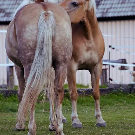 Knaller Der Reiterbauernhof Διαμέρισμα *