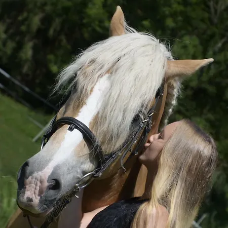 Knaller Der Reiterbauernhof *