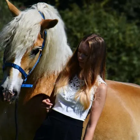 Knaller Der Reiterbauernhof Διαμέρισμα