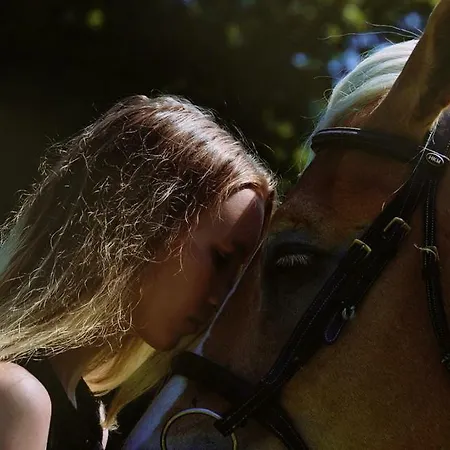 Διαμέρισμα Knaller Der Reiterbauernhof Reisach