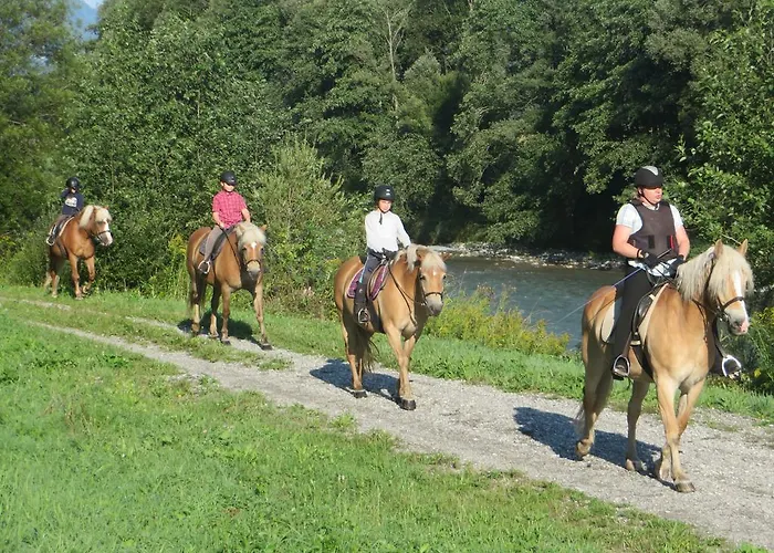 Knaller Der Reiterbauernhof * Reisach