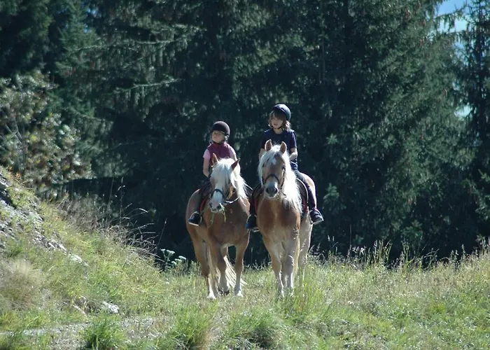 Knaller Der Reiterbauernhof * Reisach