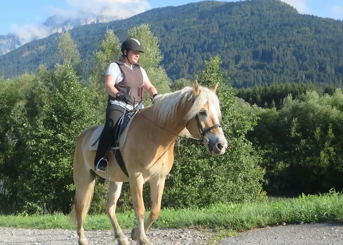 Knaller Der Reiterbauernhof Apartment