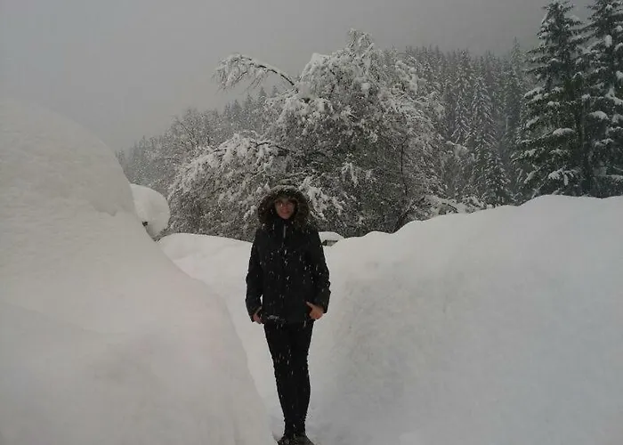 Apartment Knaller Der Reiterbauernhof Reisach