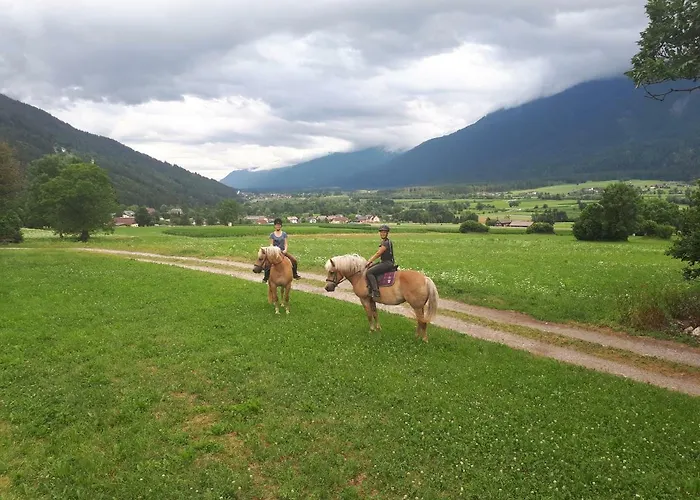Knaller Der Reiterbauernhof * Reisach