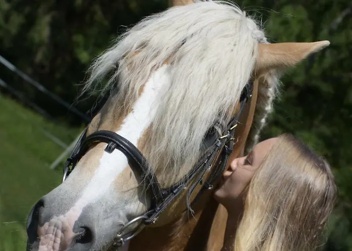 Knaller Der Reiterbauernhof *