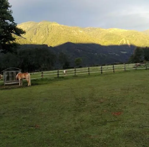 Knaller Der Reiterbauernhof Apartment *